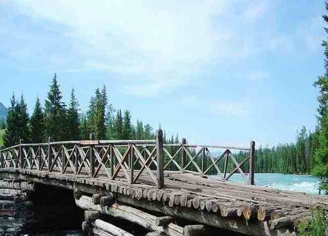 喀纳斯最美的风景线,图五