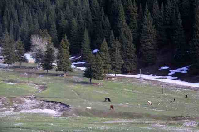 新疆自駕之旅,圖