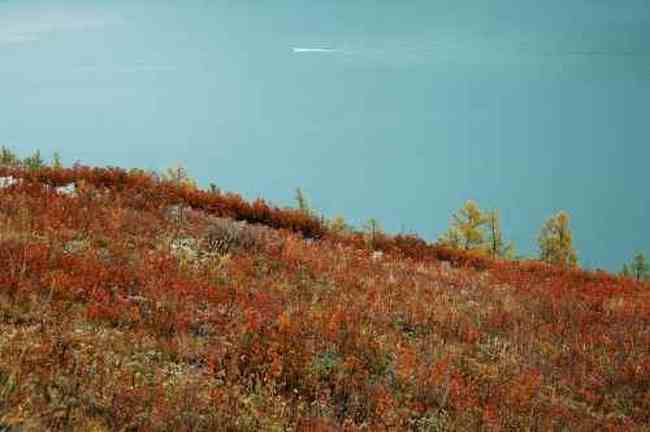 帶你進(jìn)入多彩的喀納斯,圖十三