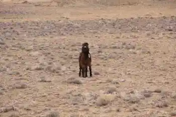 新疆自驾之旅三,图八