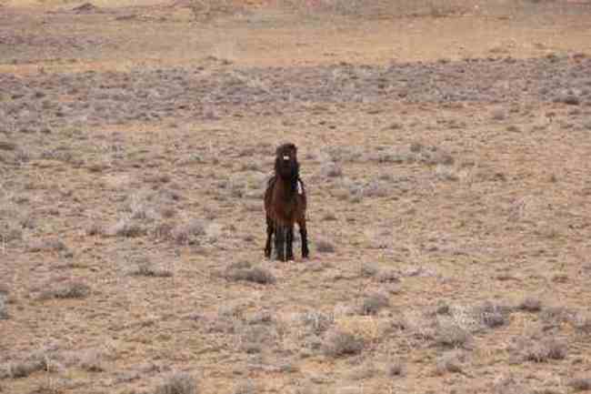 新疆自驾之旅三,图八