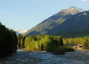 喀纳斯最靓丽的风景线,图十五