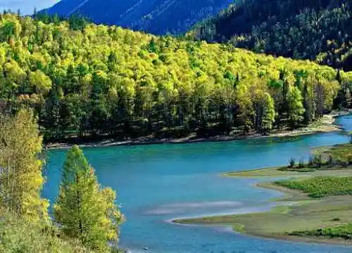 喀纳斯最靓丽的风景线