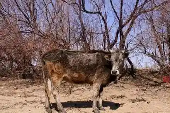 新疆自驾之旅五,图