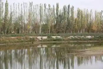 新疆南疆六日游续(六）,图六