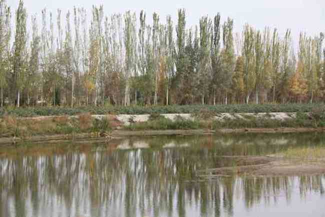 新疆南疆六日游续(六),图六