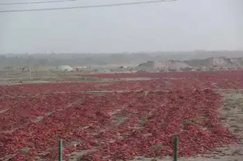 新疆旅游之南疆六日游（七）,图九