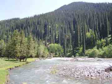 新疆是个旅游的好地方,图八
