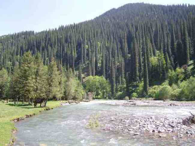 新疆是个旅游的好地方,图八