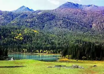 喀纳斯之神仙湾,图八