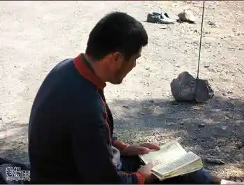 新疆旅游去沙漠看胡杨,图三十