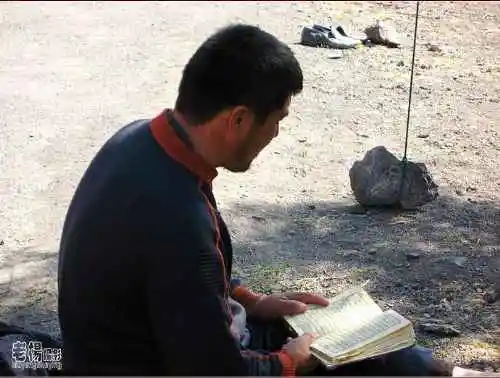 新疆旅游去沙漠看胡杨