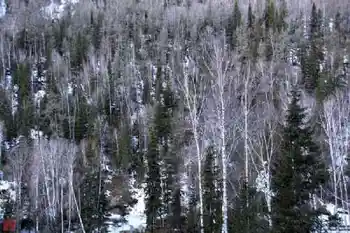 新疆自驾之旅五,图十八