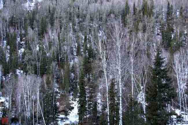 新疆自驾之旅五,图十八
