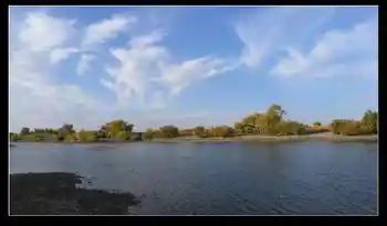 新疆之旅--喀纳斯,图七