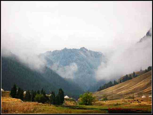 天然牧场南山风景区西柏杨沟,图四