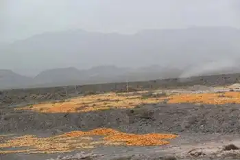 新疆南疆六日游续(六）,图八