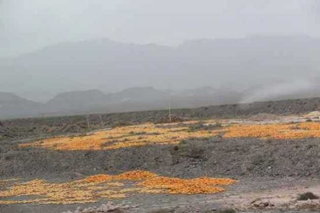 新疆南疆六日游续(六),图八