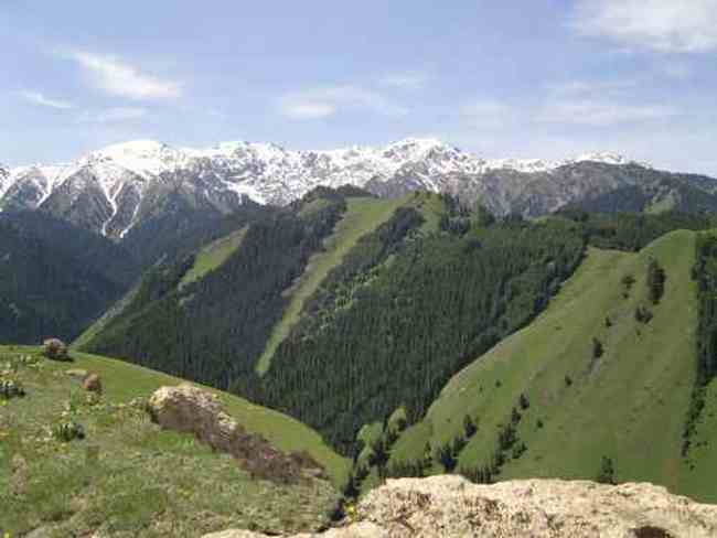 新疆是个旅游的好地方,图六