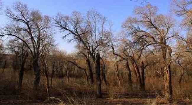 新疆自驾之旅1,图五