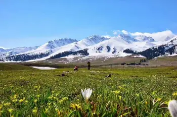 雨中自驾游伊犁河
