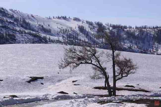 新疆自驾之旅五,图