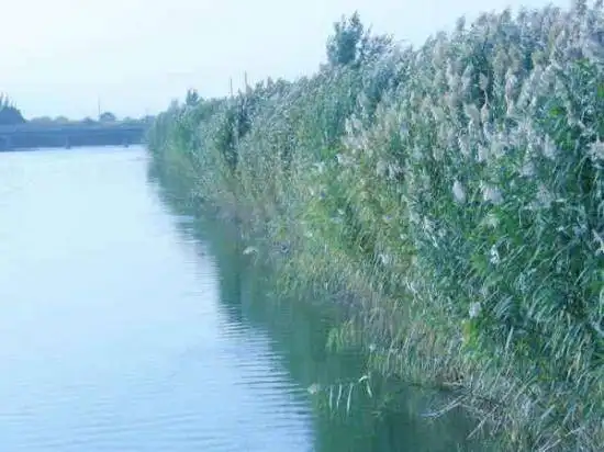 新疆南疆六日游续