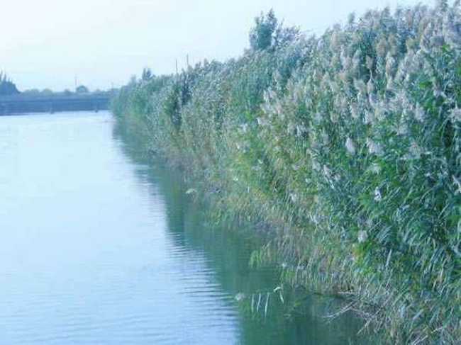 新疆南疆六日游续,图五