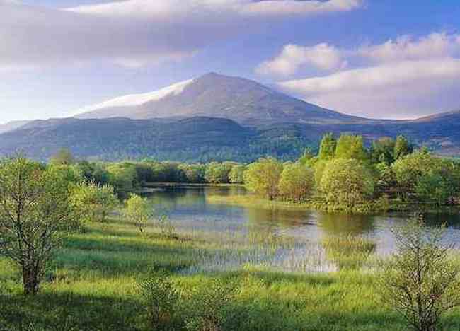 最美的“沙漠之湖”,图五