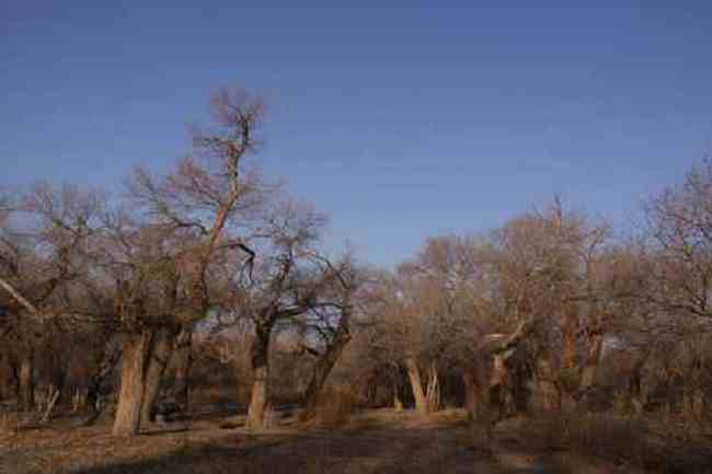 新疆自驾之旅1,图三