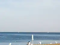 新疆博斯腾湖大河口景点