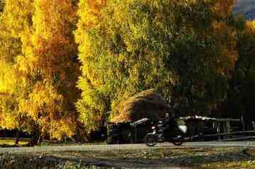 白哈巴西边的太阳落山岗,图八