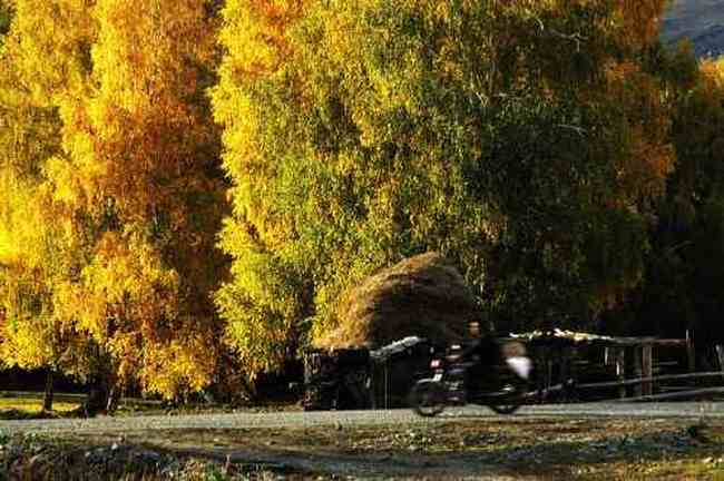 白哈巴西边的太阳落山岗,图八