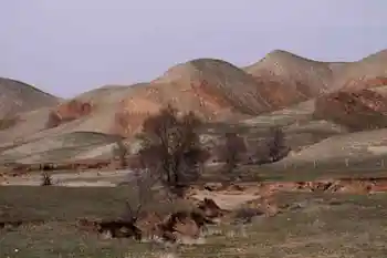 新疆自驾游,图三