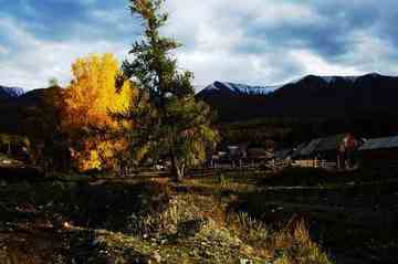 白哈巴西边的太阳落山岗,图九