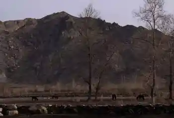 新疆自驾之旅四,图二十八