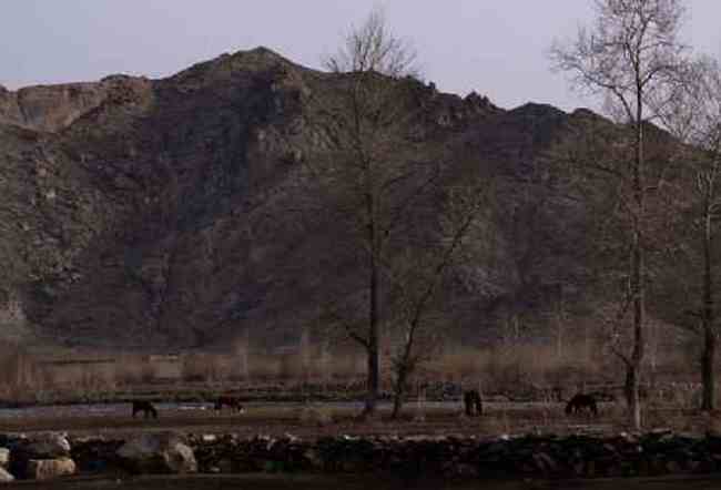 新疆自驾之旅四,图二十八