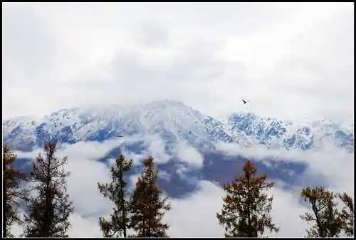 神的自留地--冷暖色的禾木