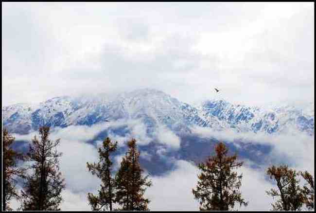 神的自留地--冷暖色的禾木,图四