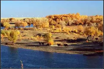 新疆晚秋环游,图三