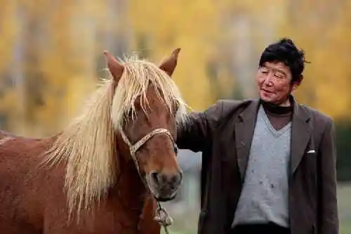 北疆之行--人间的天堂