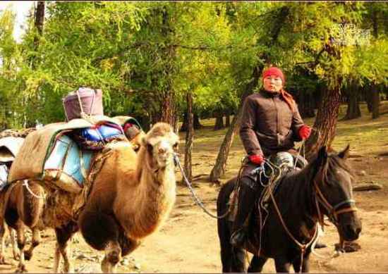 新疆旅游去沙漠看胡杨,图二十四