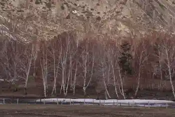 新疆自驾之旅四,图十七