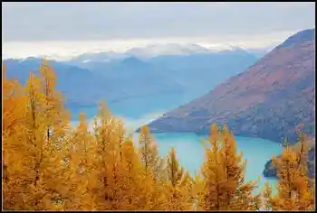 新疆之旅--喀纳斯,图十五