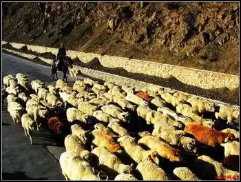 丝绸之路战略要地——果子沟,图五