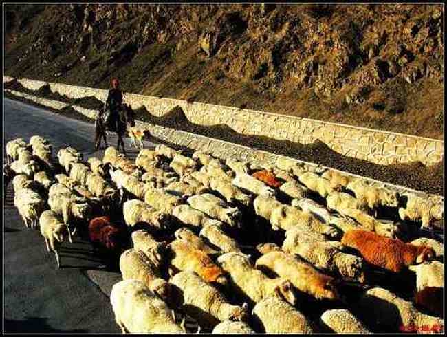 丝绸之路战略要地——果子沟,图五