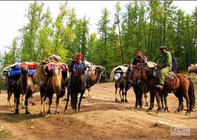 新疆旅游去沙漠看胡杨,图二十二