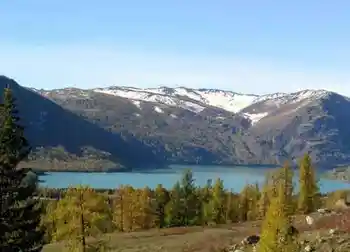 喀纳斯最美的风景线,图七