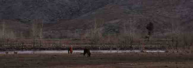 新疆自驾之旅四,图二十九