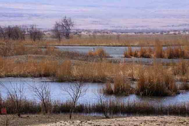 新疆自驾之旅五,图